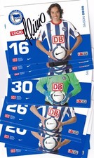 32  x  Hertha BSC  - 2008 / 09 -  Autogrammkarten  -  signiert  -  !!!