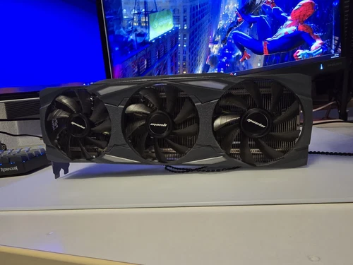 Manli NVIDIA GeForce RTX 3080 10GB GDDR6X
