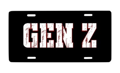 Gen Z Generation Vanity License Plate Showroom Plaque Aluminum Metal Sign 12x6