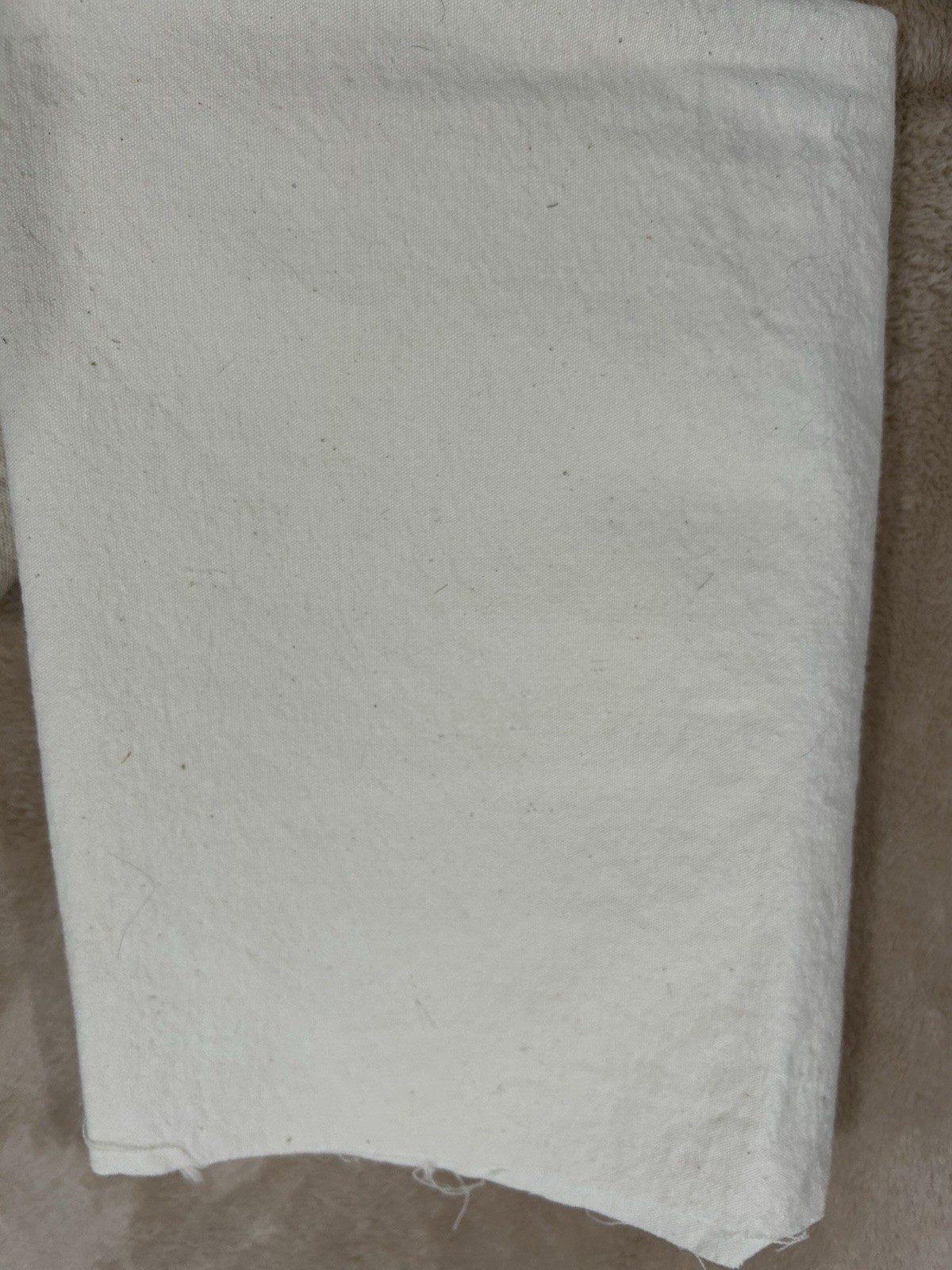 Picture 8 of 8