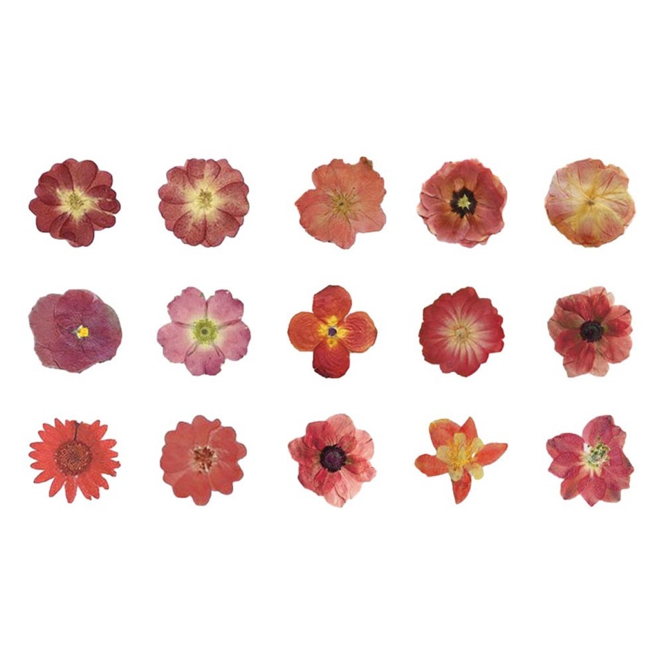 Create Beautiful Art with 45pcs Simulated Flower Stickers for DIY ...