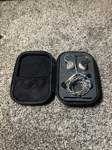 Letshuoer DZ4 Budget Friendly In Ear Monitor IEM With Hard Shell Case