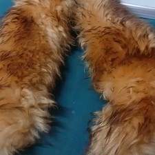 Raccoon Fur Collar, Detachable and Warm