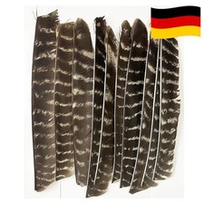Jagd Zubeh&ouml;r Truthahnfeder Volll&auml;ngen Befiederung Bogenschie&szlig;en Naturfedern 50X