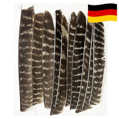 Jagd Zubehör Truthahnfeder Volllängen Befiederung Bogenschießen Naturfedern 50X 