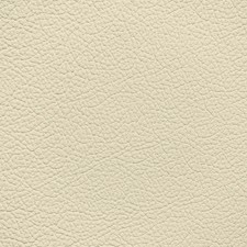 Toyota Almond Leather Dye