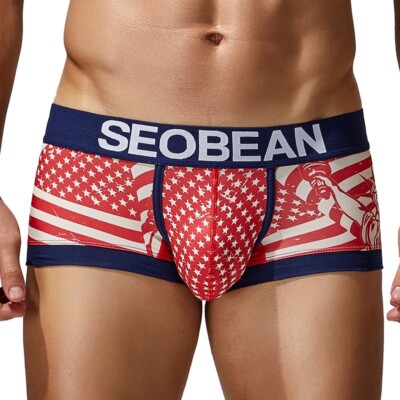SEOBEAN 2025 NEW MEN'S SEXY ICE SILK BOXER BRIEF UNDERWEAR