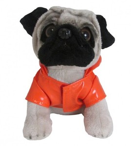 pug teddy