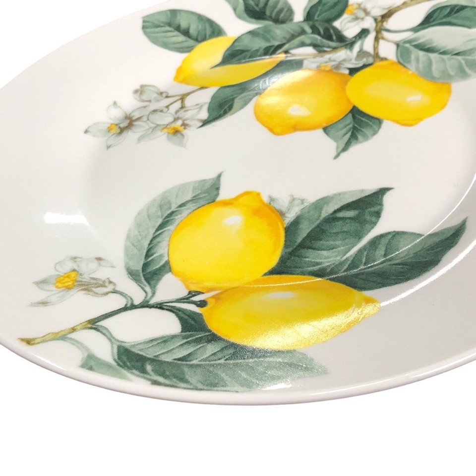 2 Royal Norfolk Lemon Printed Dinner Plate Ceramic 10 1/2 inch White