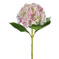 Artplants KüNstliche Hortensie Fustral, Rosa-Creme, 65Cm