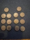 14 Vintage 1887 & 89 Indian Head Penny Coin Collection