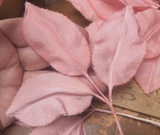 vintage tri leaves silk hand wrapped 1940s made in Japan