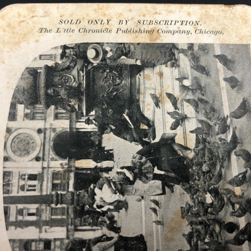 Venice, Italy Photo Stereoscope Card UNSUAL FEEDING PIGEONS Antique Vintage Old - Picture 4 of 7