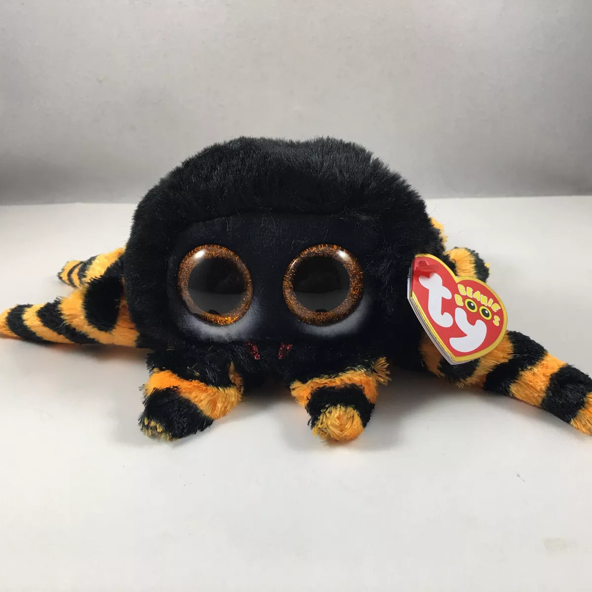 Charlotte the cat beanie boo sale