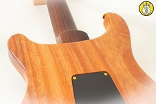 PRS USA Paul Reed Smith Wood Library Custom 24 *Artist Top 