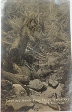 1909 RPPC Sassafras, Victoria Real Photo Postcard