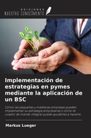 Markus Lueger | ImplementacióN De Estrategias En Pymes Mediante La AplicacióN...