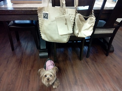 inzi handbag