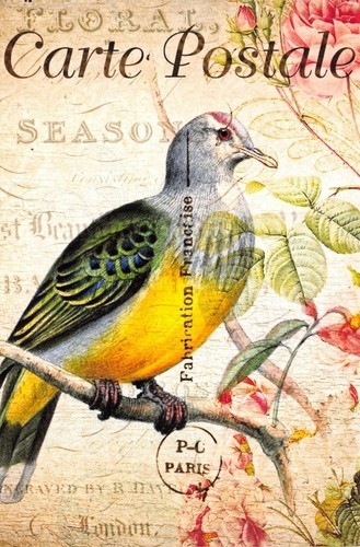 Porte-assiette Mural Vintage – Style Shabby Chic – Oiseau Et Ferme – Fonte Crème