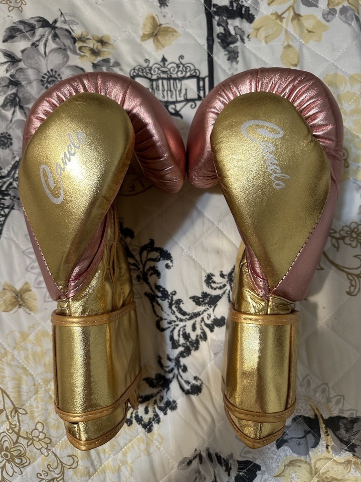 no boxing no life gloves 14 oz Canelo Replica From Etsy eBay
