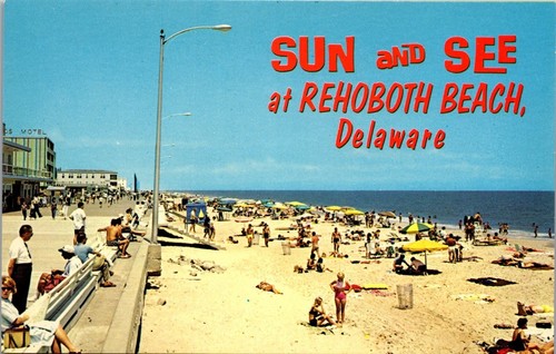 Vintage Beach View Postcard Sun & See Rehoboth Beach DE Boardward Sunbathers - Picture 1 of 4