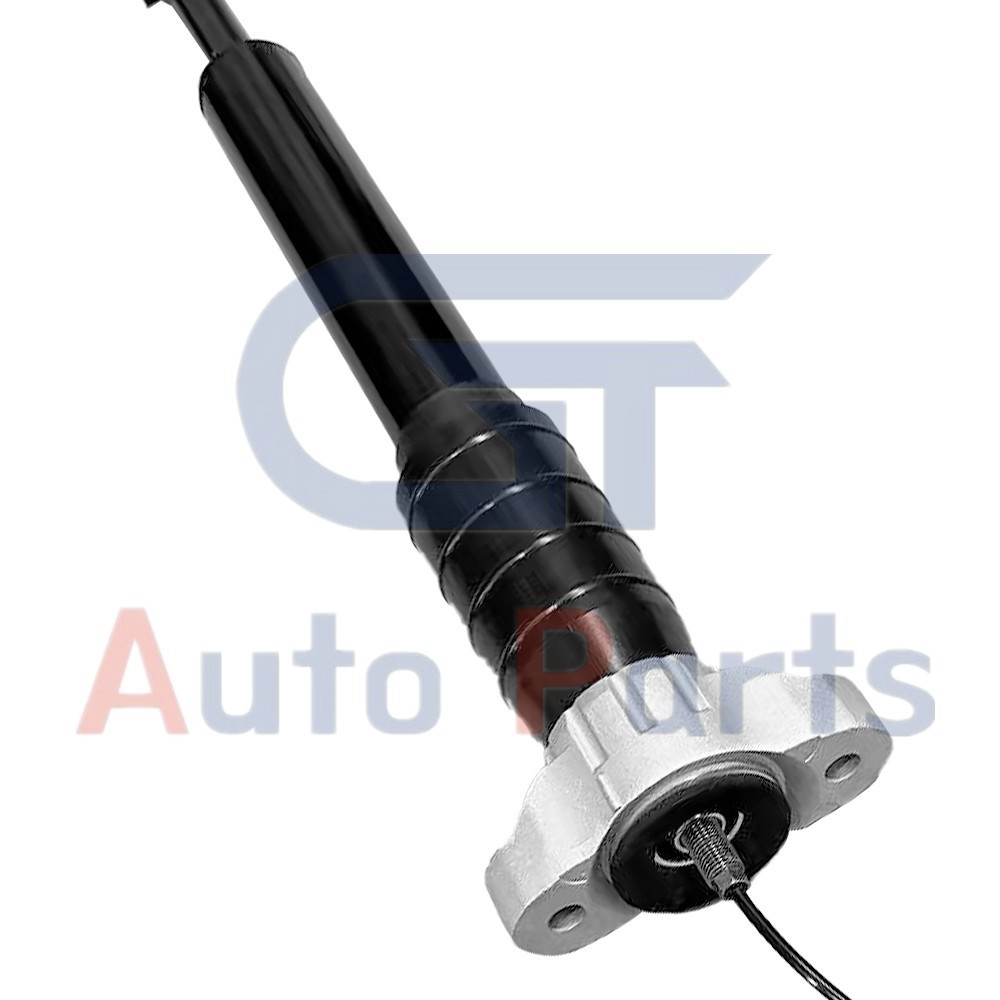 2X Rear LH & RH Air Shock Strut Assys For Maserati Levante M161 2017-2020 3.0L