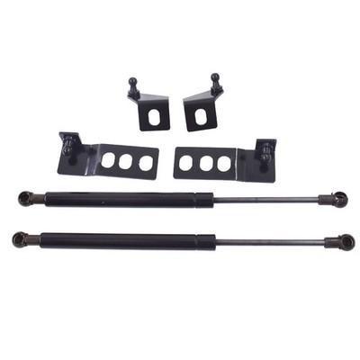 Labwork Front Hood Lift Support Lmpact Strut Black Only Fit For Toyota RAV4 2020