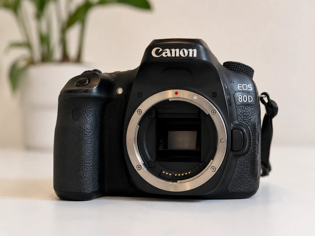 Canon EOS Digital Cameras EOS 80D for sale - eBay