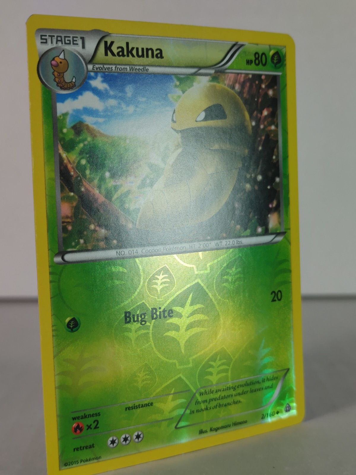 Picture 4 of 26