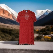 ZARA Womens Orange Short Sleeved Lace Overlay Party/Cocktail Dress Size S