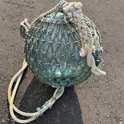 12 meter fishing pole PLUSINNO V12 Rod Holders for Garage, Vertical Fishing Holders Wooden Round Floor Stand, Fishing Rod Rack Holds up to Rods or Fishing Nets Storage Organizer Racks, Fishing The pole fishing rod Model:SCPS60MLF Xiaoyztan Aquarium Mesh Hatchery Whip-It Fish