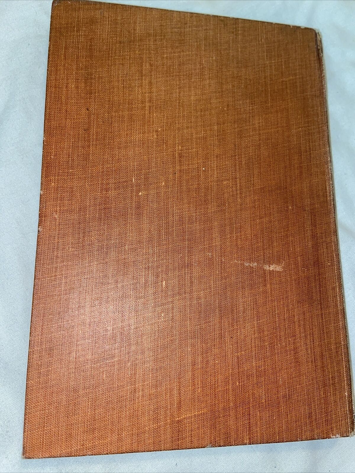 Picture 2 of 7