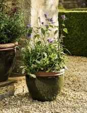 Garden Pot Large Terracotta Glazed Olive Green Pot Outdoor Pot Frostproof 36cm