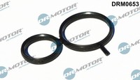 DRM0653 Dr.Motor Automotive Dichtung, Nockenwellenverstellung FüR BMW