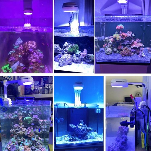 PopBloom RL60 WiFi Nano Led Aquarium Light 60W for 16-20" Marine Coral Reef Tank - Picture 11 of 11