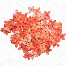 Orange Pressed Flowers   Organic Resin Art  Craft Materials  50/100/200 Flowers