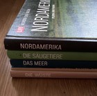 Bild 10 von 12