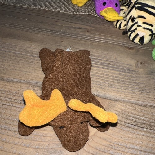 TY Beanie ** 5 Stück ** Regular/Teenie Beanie Babys - Bild 2 von 16