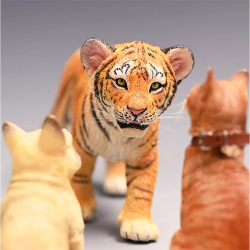 JXK Tiger Tigerkin Model Statue Wildlife Animal Figure Collector Decor 1/6 Gift - Picture 3 of 11