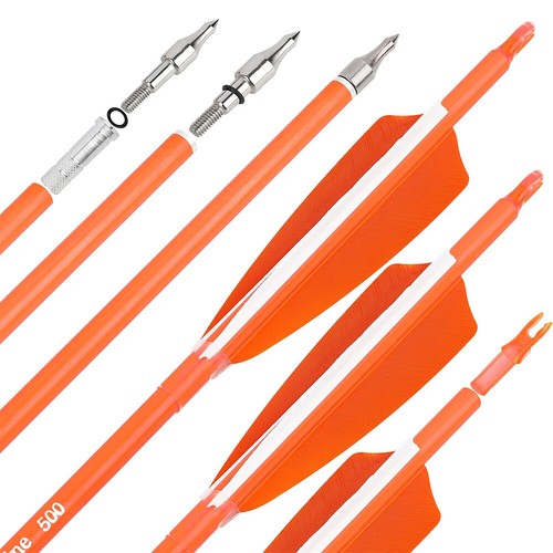 Archery Carbon Arrows 30" SP500 600 Feathers Recurve Compound Bow Hunting Target - Picture 2 of 23