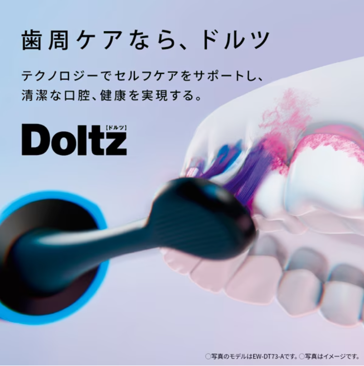 Panasonic EW-DT63-S Toothbrush vibration Dolts Silver Japan import