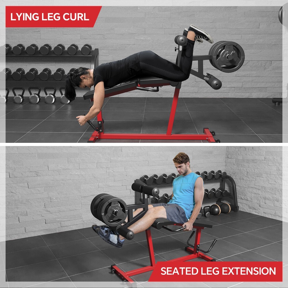 Curl Machine Home Gym Bench With Leg Extension Dual-functional Leg
