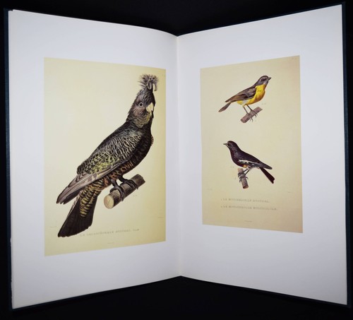 Bougainville, Journal de la navigation autour du globe …Imperial-Folio-FAKSIMILE - Picture 10 of 14