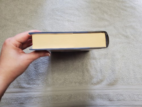 DAVID BALDACCI, DELIVER US FROM EVIL, 2010, 1st Edition, Condition Very Good - Picture 8 of 11