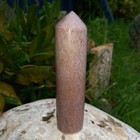 Bild 5 von 5