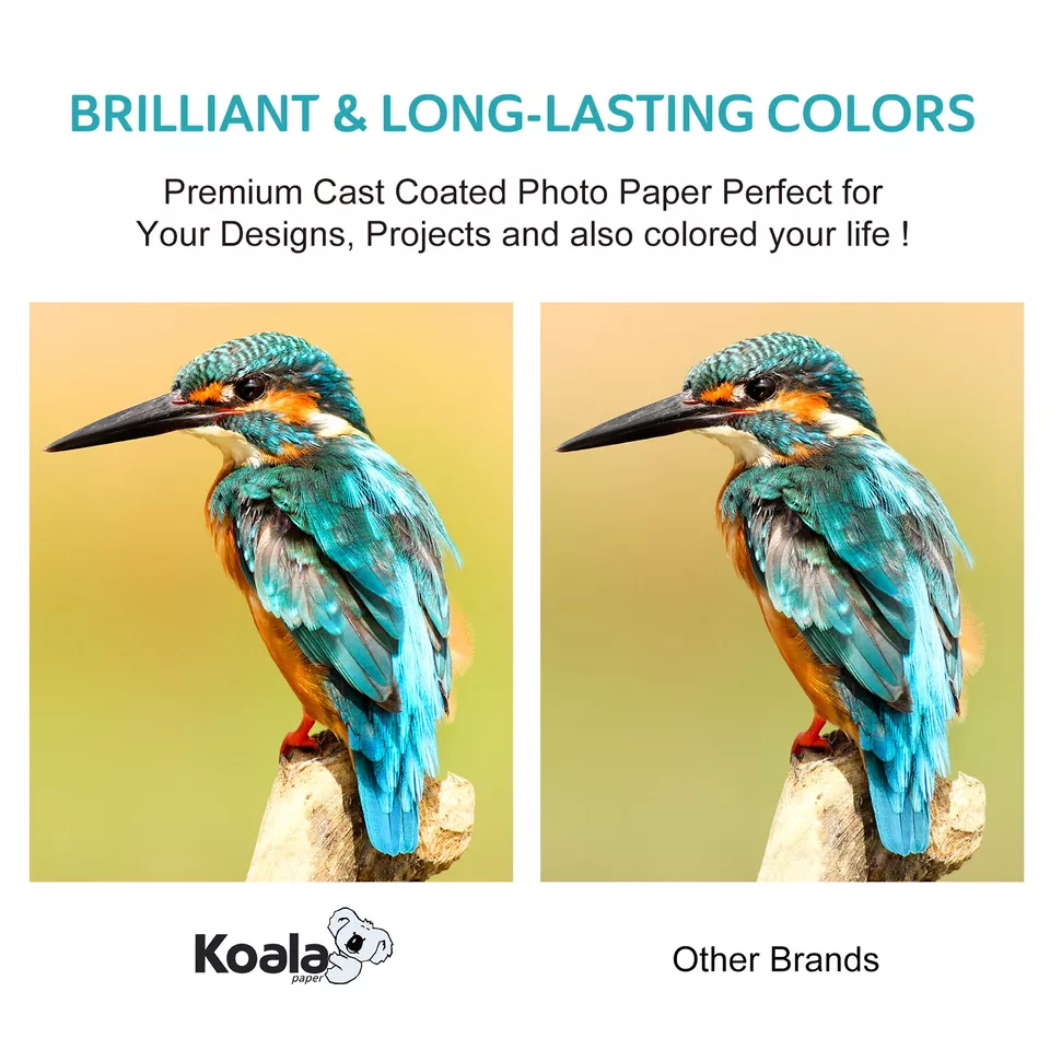 Koala Ultra Premium 72lb Glossy Photo Paper 8x10 50 Sheets Inkjet Printer Canon - Image 3 of 4