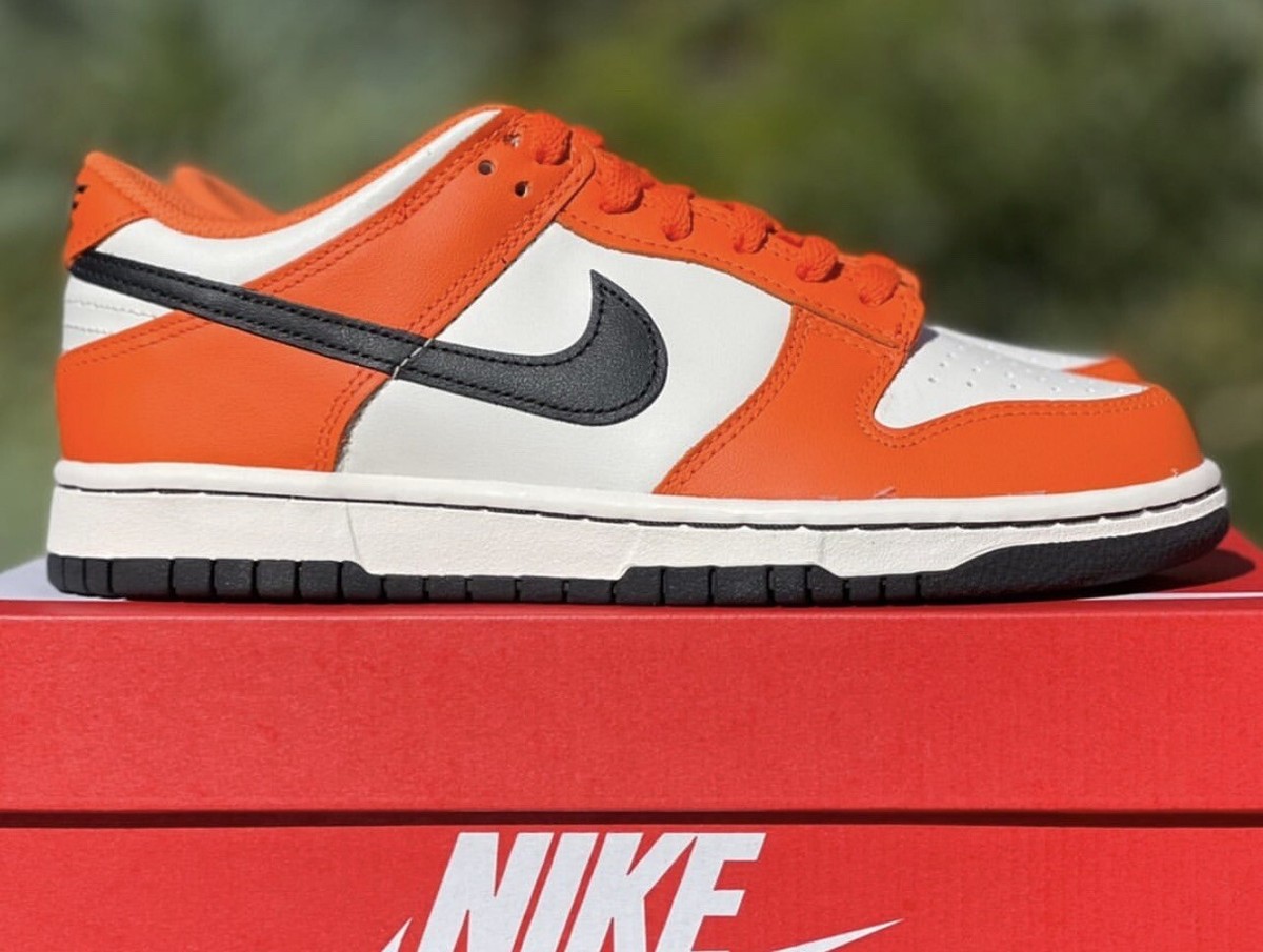 靴 NIKE DUNK 1998 / 29cm nike big kids dunk low bg photon dust total orange astronomy