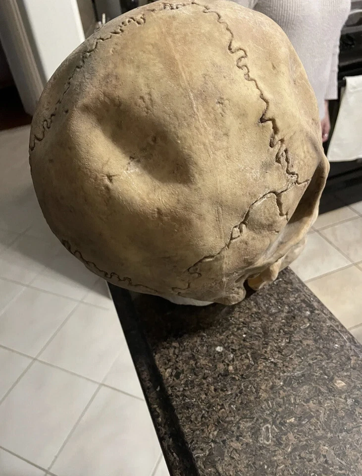 Disfraz de Rubí Máscara Calavera Superior Deluxe Talla Adulto Foto 4 de 4