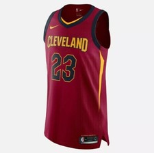 lebron authentic jersey