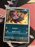 Pokémon TCG Shrouded Fable Zorua 031/064